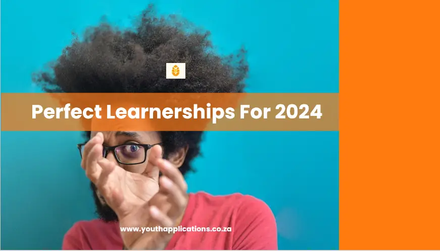 7 Perfect Learnerships for 2024 You Should Apply for ASAP!