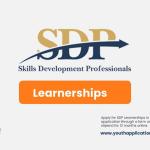 SDP Learnership Application 2024 | Now Open this Year